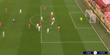 F1阿布扎比站第一练习：诺里斯最快，维斯塔潘紧随其后，勒克莱尔非第四